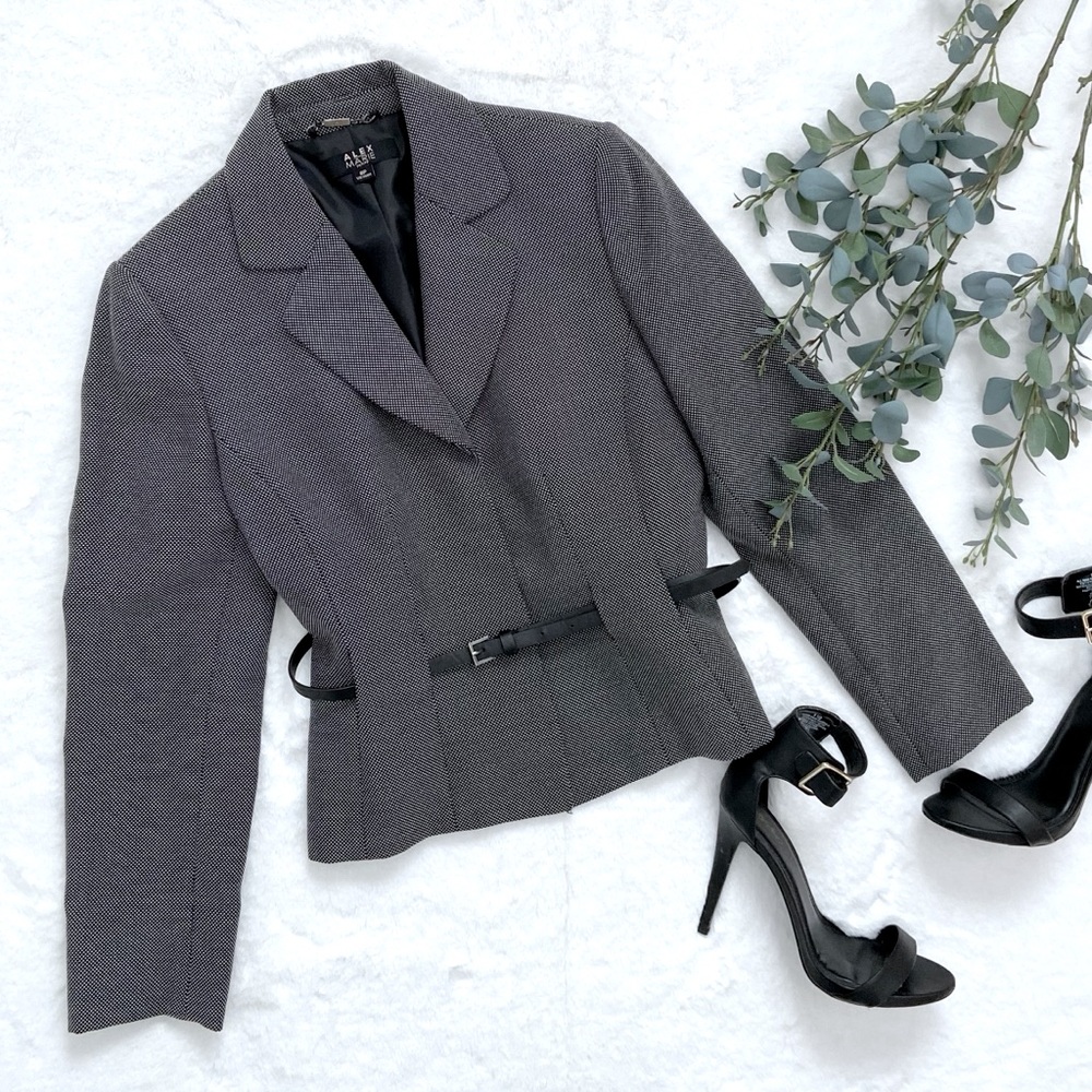 Belted Gray Blazer (Tiny Micro-Dot Pattern) - So … - image 1